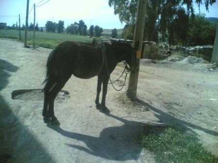 www.merja.vip-blog.com