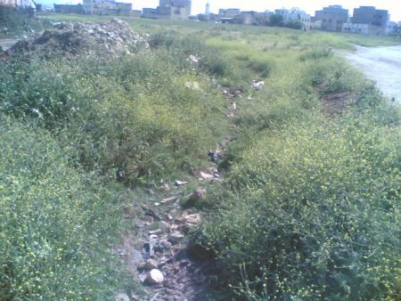 khalidos@fes.com