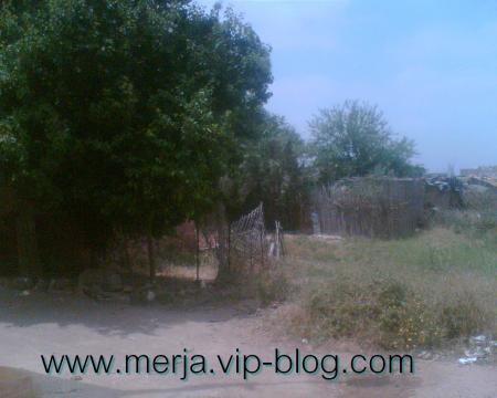 www.merja.vip-blog.com